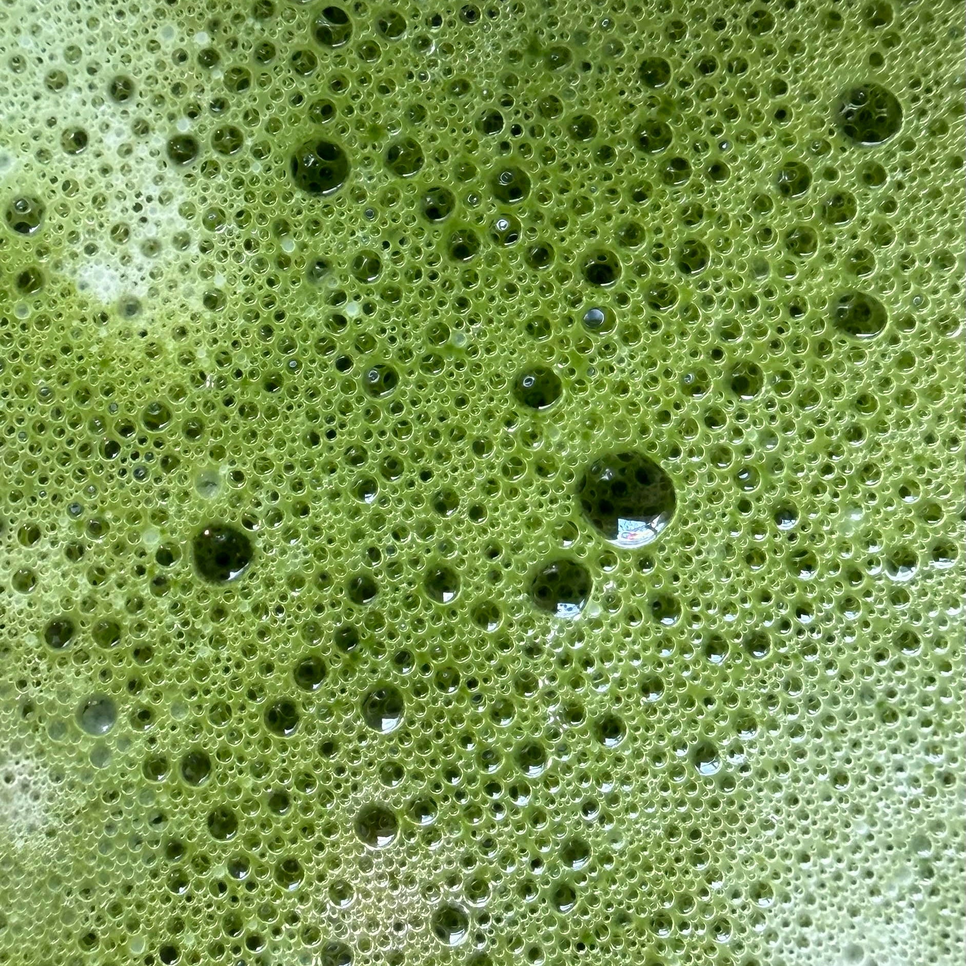 Matcha Powder - 30g